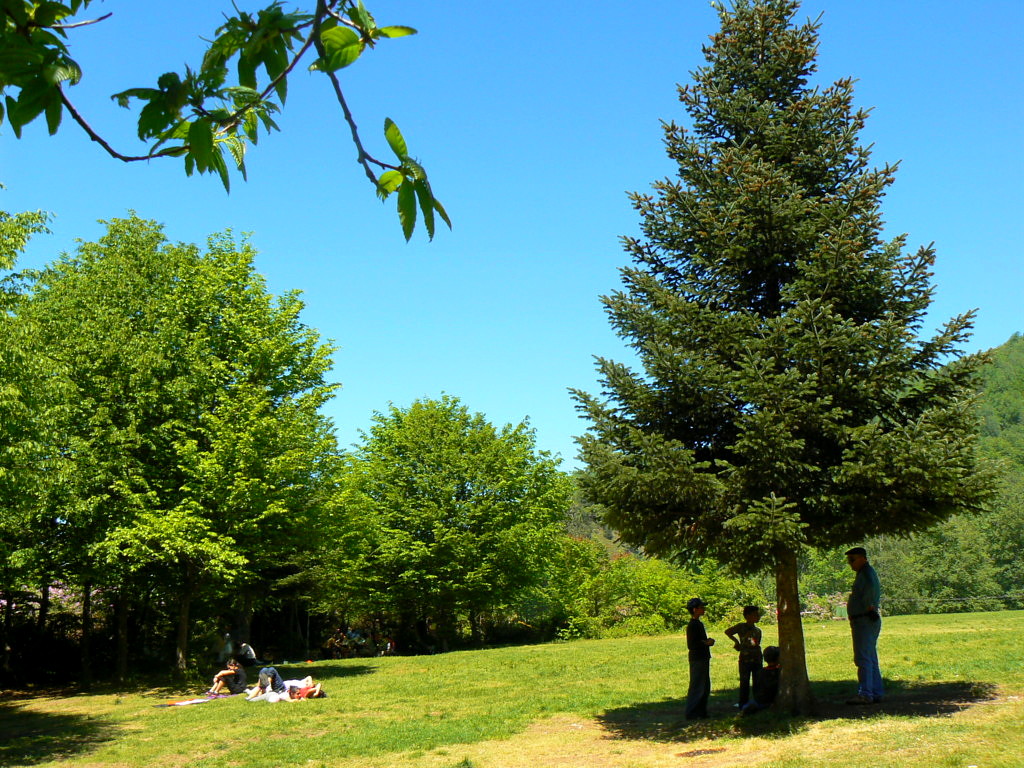 Picnic area 1